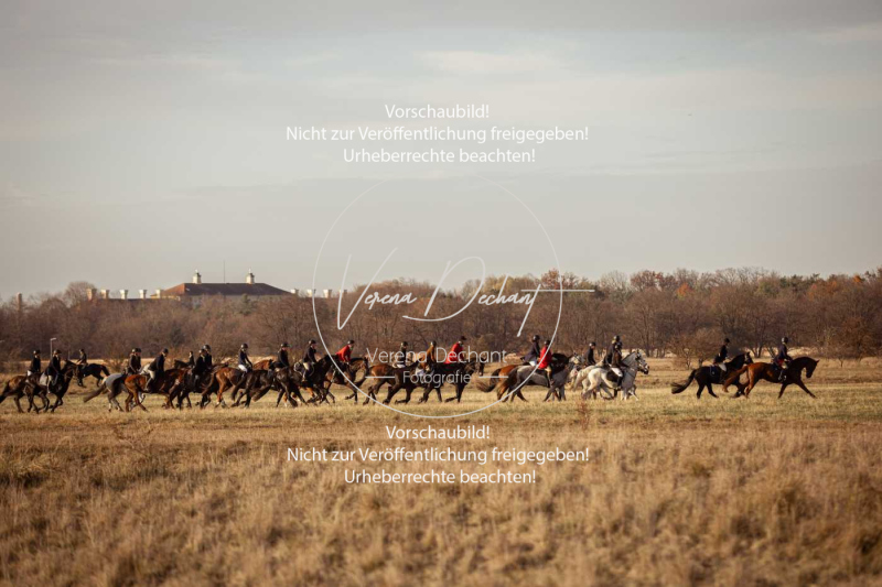 Schleppjagd_Schleissheim-1014