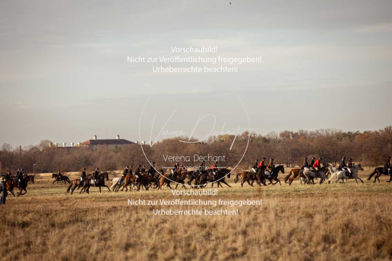 Schleppjagd_Schleissheim-1015