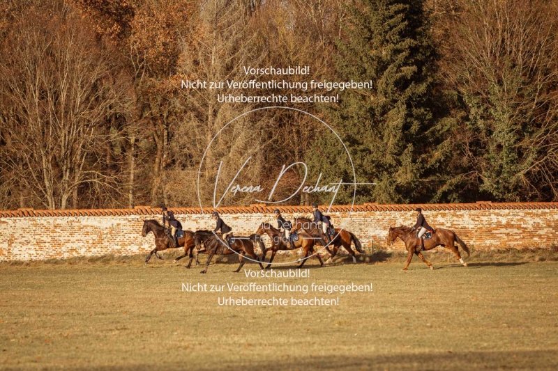 Schleppjagd_Schleissheim-1030