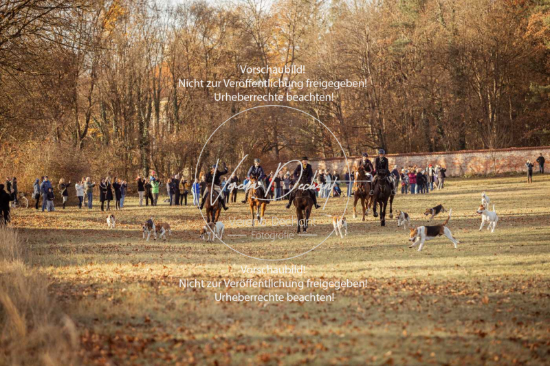 Schleppjagd_Schleissheim-1039