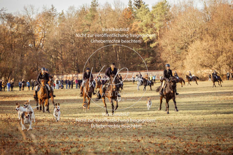 Schleppjagd_Schleissheim-1042