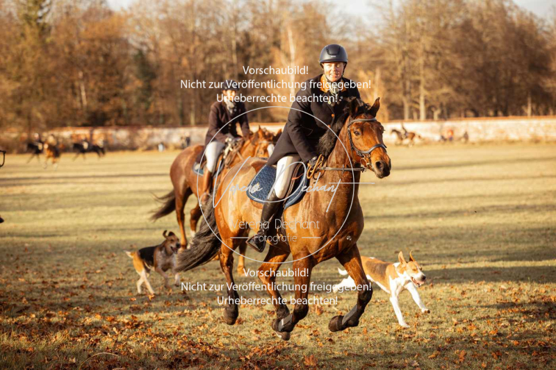 Schleppjagd_Schleissheim-1050