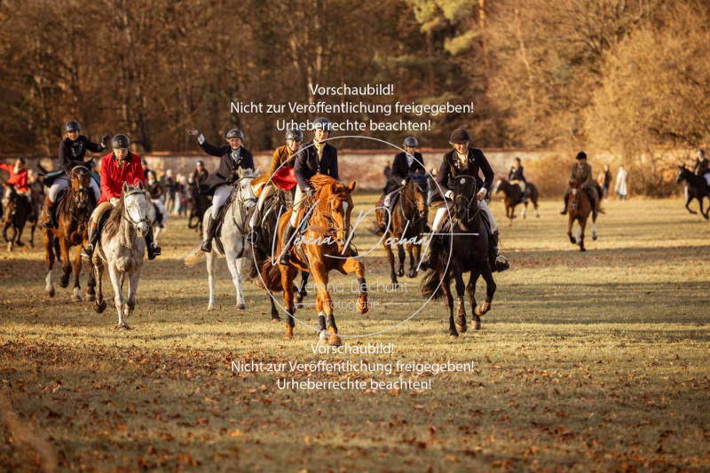 Schleppjagd_Schleissheim-1053