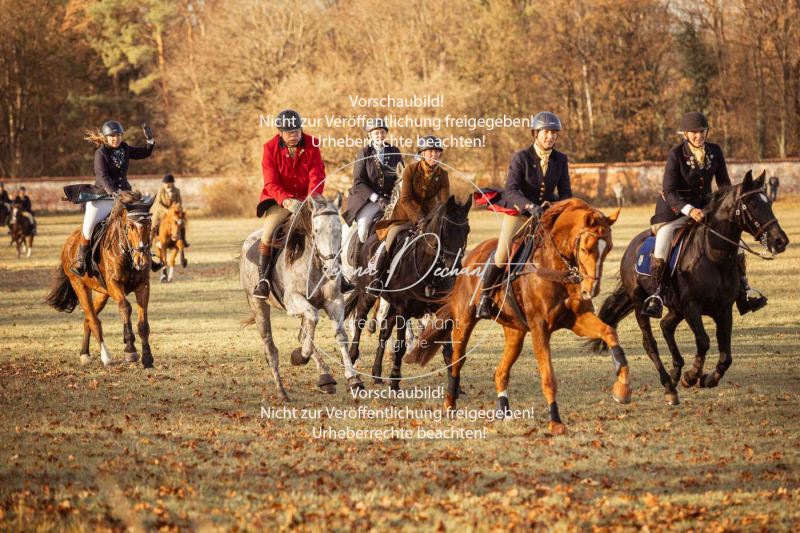 Schleppjagd_Schleissheim-1060