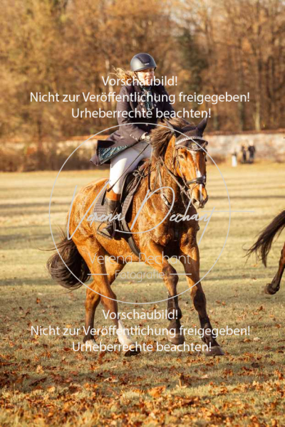 Schleppjagd_Schleissheim-1066