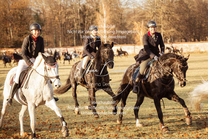 Schleppjagd_Schleissheim-1082