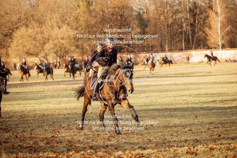 Schleppjagd_Schleissheim-1086