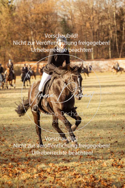 Schleppjagd_Schleissheim-1090