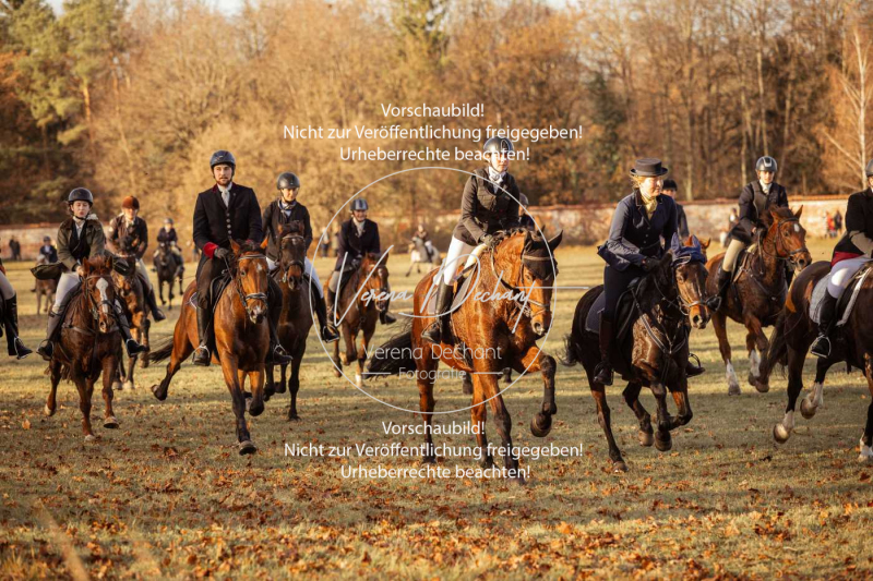 Schleppjagd_Schleissheim-1101