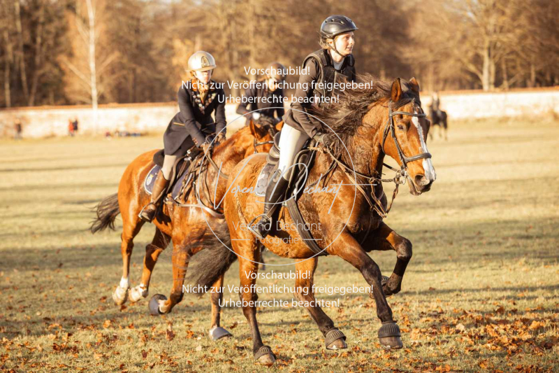 Schleppjagd_Schleissheim-1108