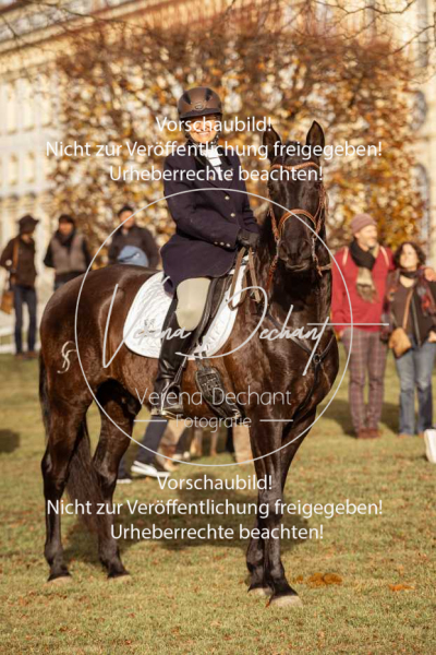 Schleppjagd_Schleissheim-111