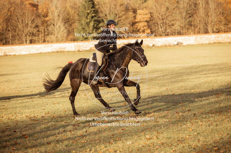 Schleppjagd_Schleissheim-1110