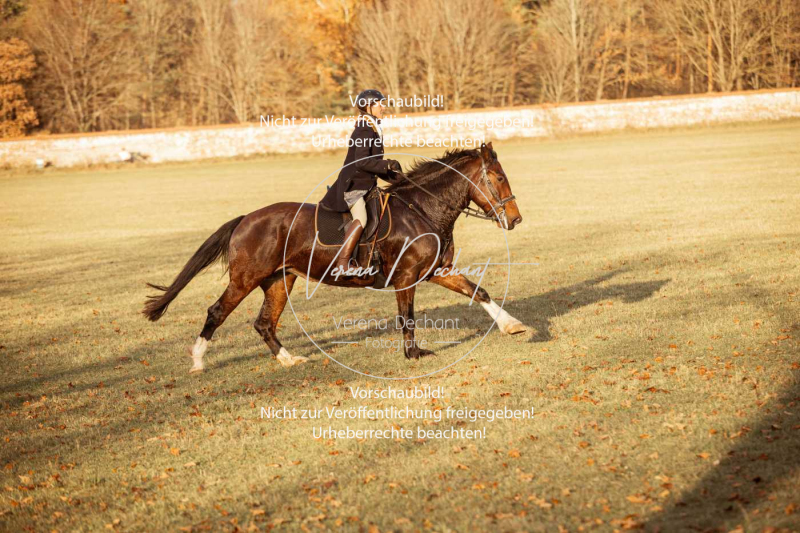 Schleppjagd_Schleissheim-1112