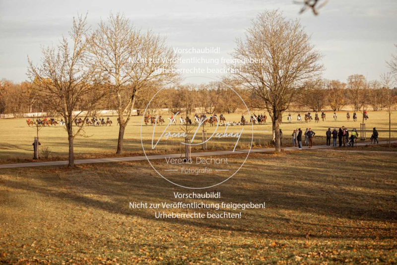 Schleppjagd_Schleissheim-1118