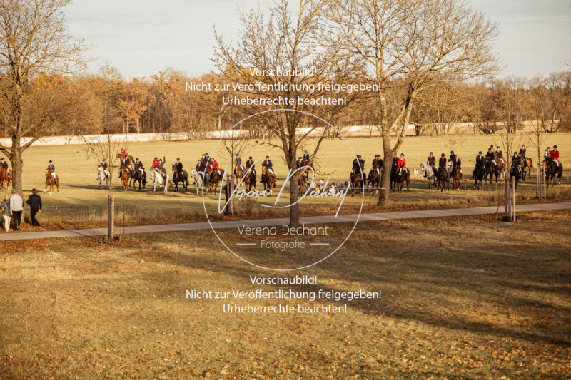 Schleppjagd_Schleissheim-1126