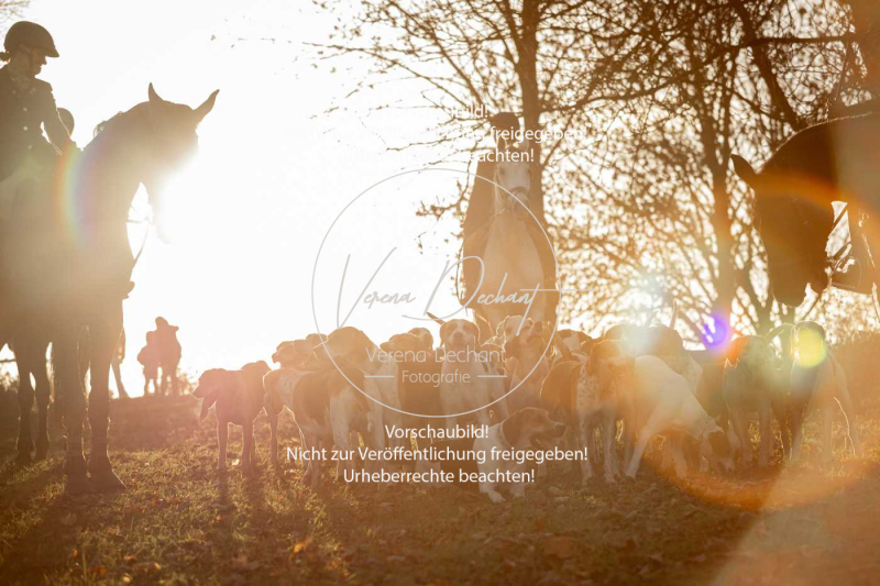 Schleppjagd_Schleissheim-1155