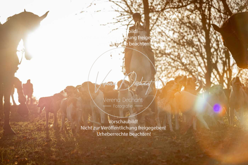 Schleppjagd_Schleissheim-1156