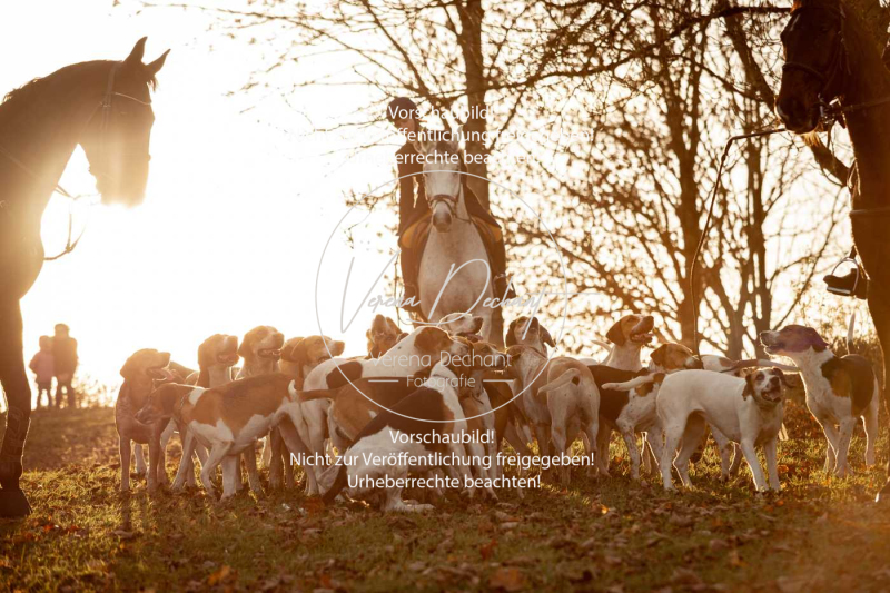 Schleppjagd_Schleissheim-1159