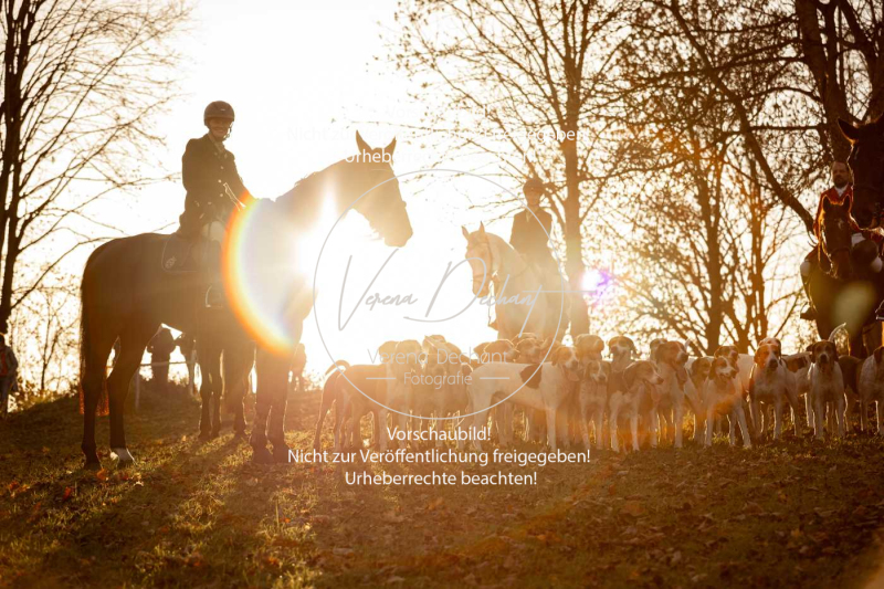 Schleppjagd_Schleissheim-1164