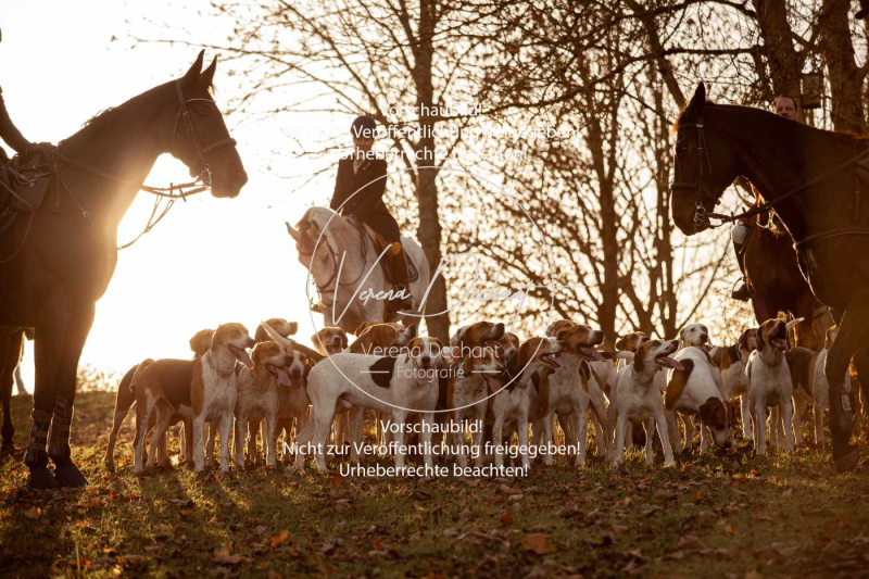 Schleppjagd_Schleissheim-1166