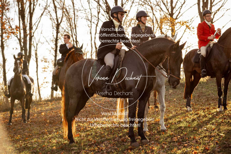 Schleppjagd_Schleissheim-1171