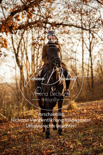 Schleppjagd_Schleissheim-1182