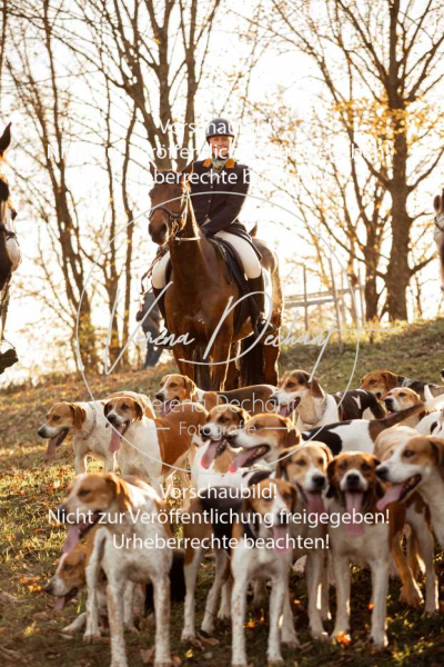 Schleppjagd_Schleissheim-1184