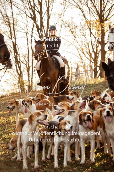 Schleppjagd_Schleissheim-1185