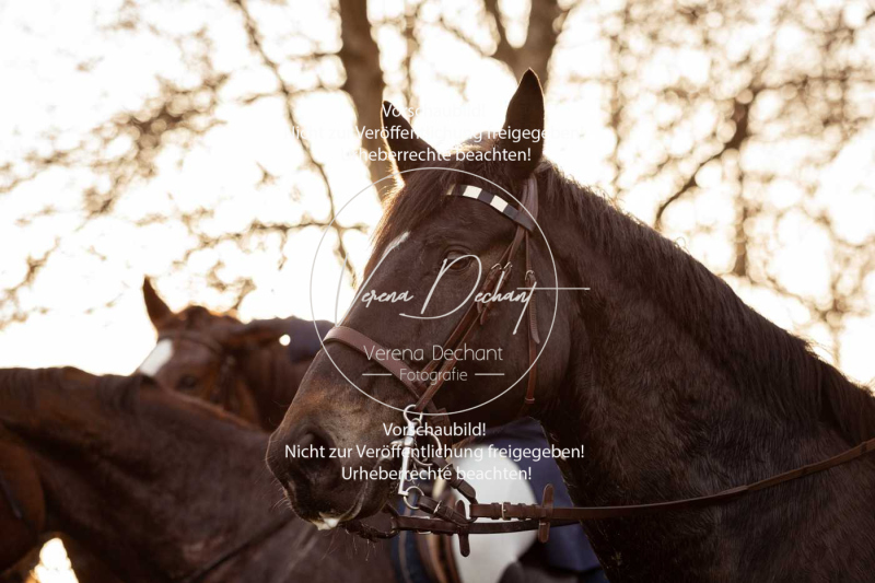 Schleppjagd_Schleissheim-1187