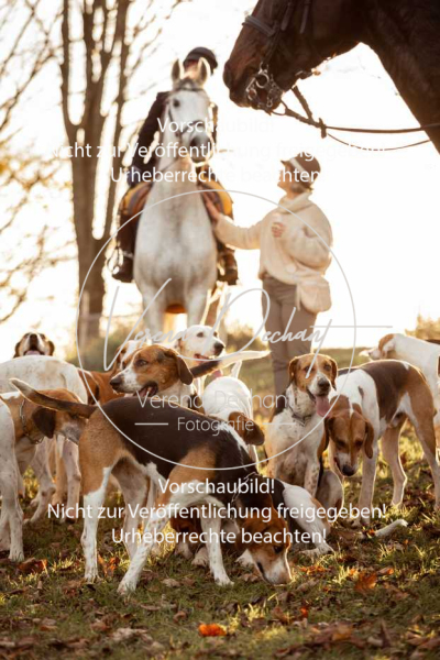 Schleppjagd_Schleissheim-1202