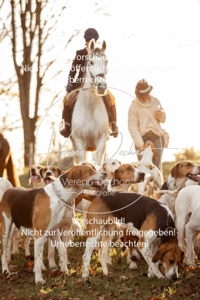 Schleppjagd_Schleissheim-1203