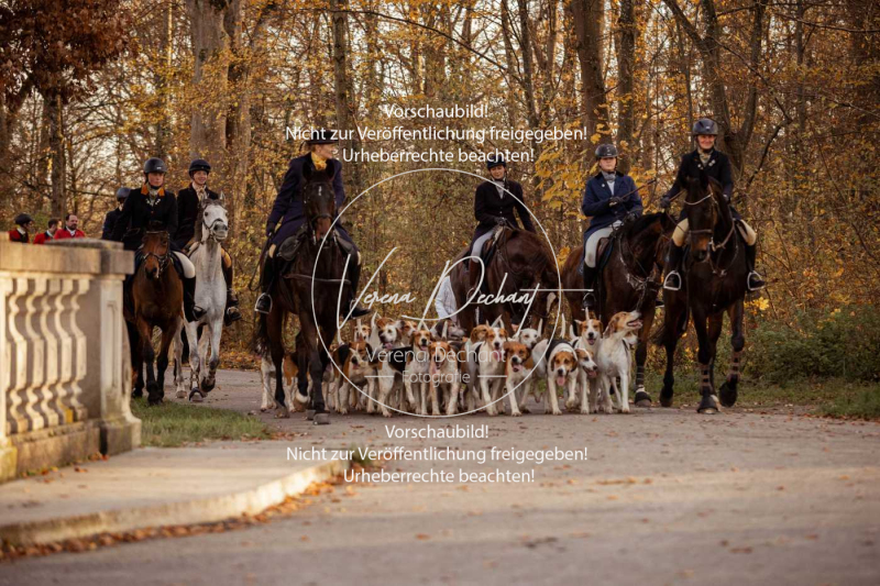 Schleppjagd_Schleissheim-1216