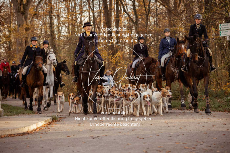 Schleppjagd_Schleissheim-1220