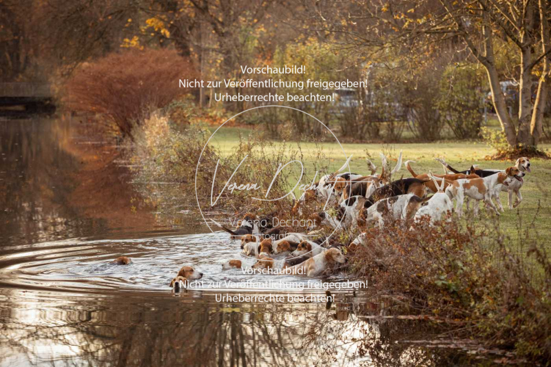 Schleppjagd_Schleissheim-1235