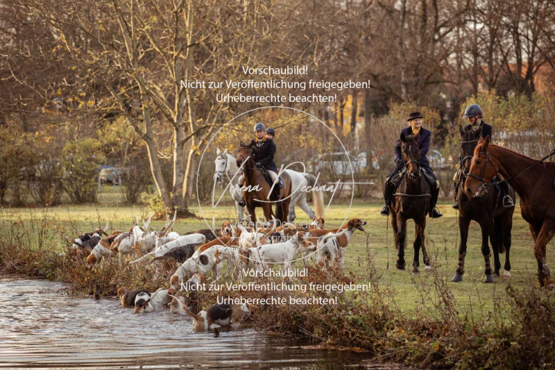 Schleppjagd_Schleissheim-1244