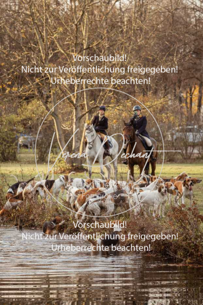 Schleppjagd_Schleissheim-1246