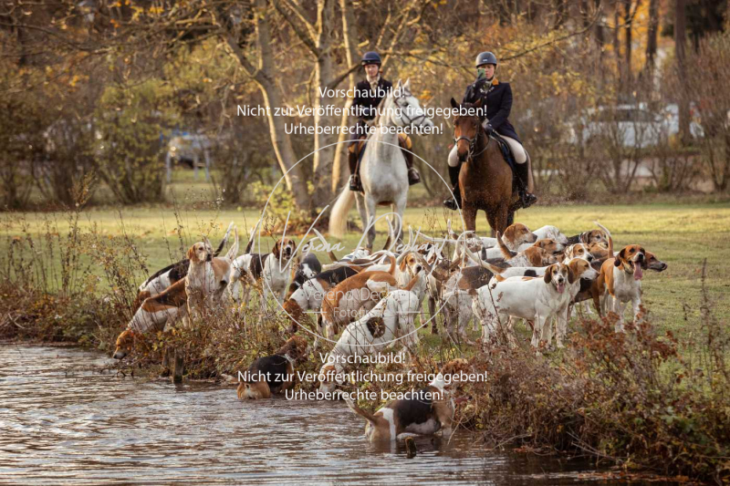 Schleppjagd_Schleissheim-1247