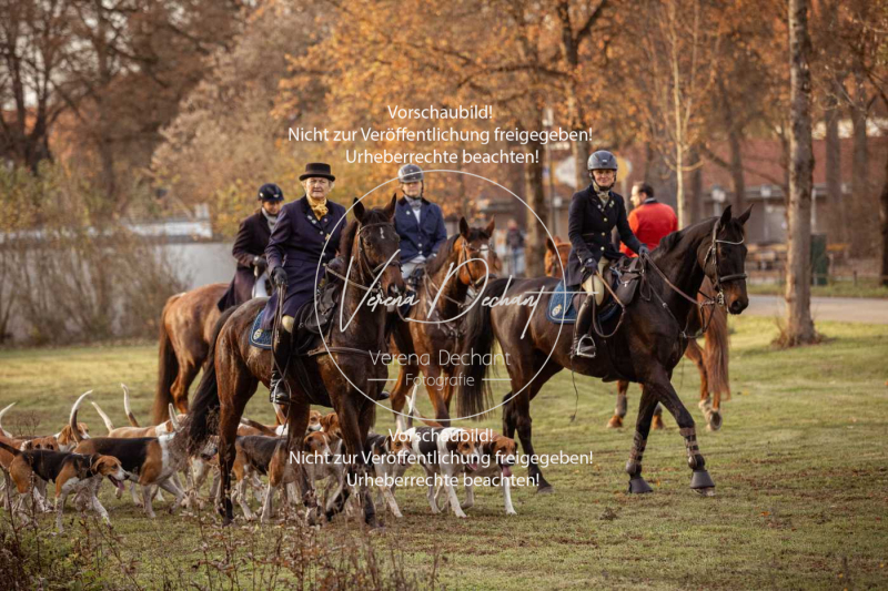 Schleppjagd_Schleissheim-1252