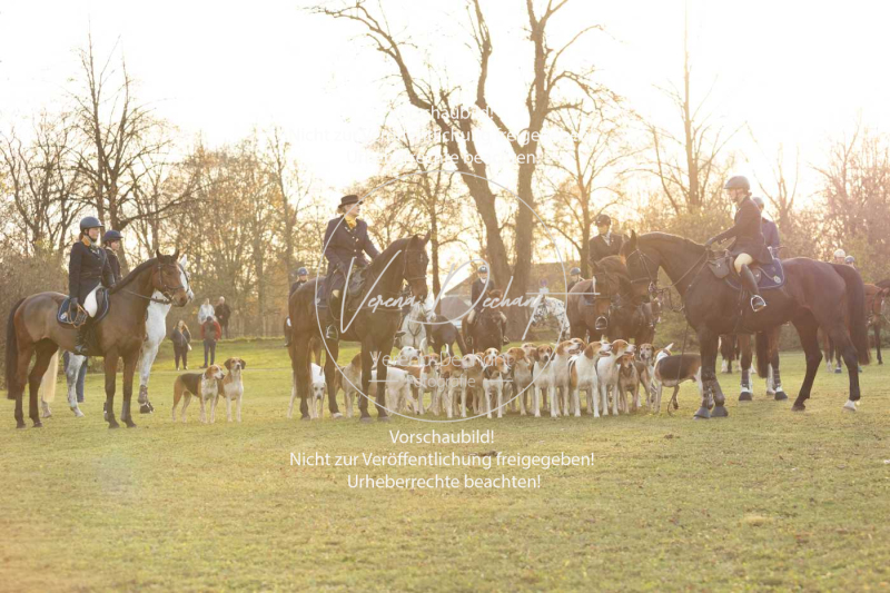 Schleppjagd_Schleissheim-1267