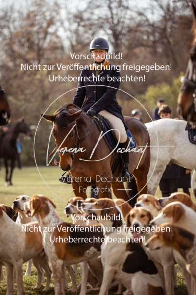 Schleppjagd_Schleissheim-160