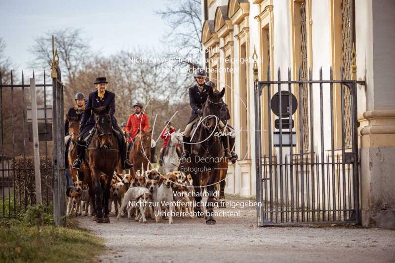 Schleppjagd_Schleissheim-180