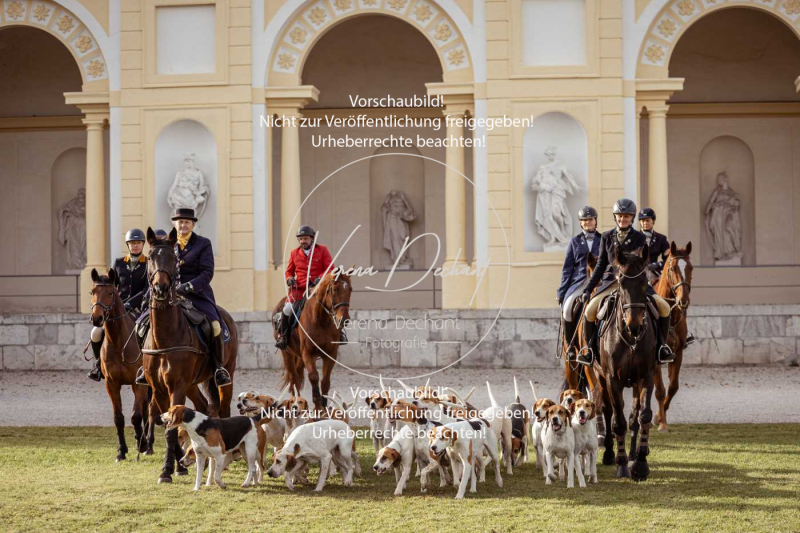 Schleppjagd_Schleissheim-195