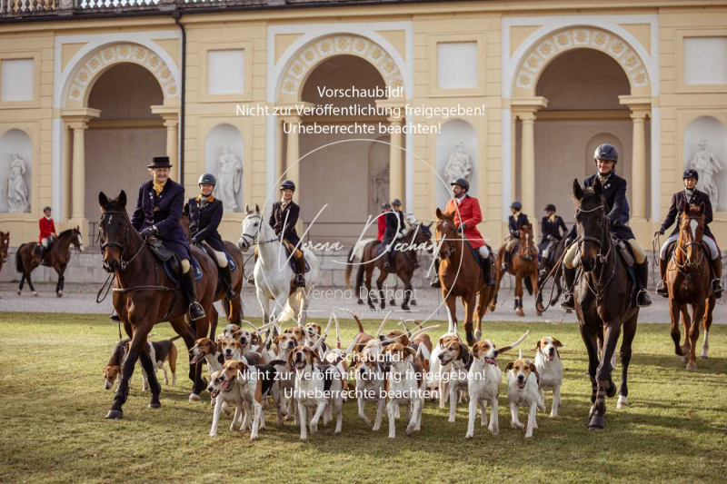 Schleppjagd_Schleissheim-198