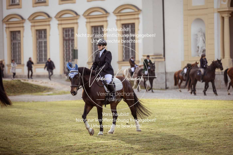 Schleppjagd_Schleissheim-243