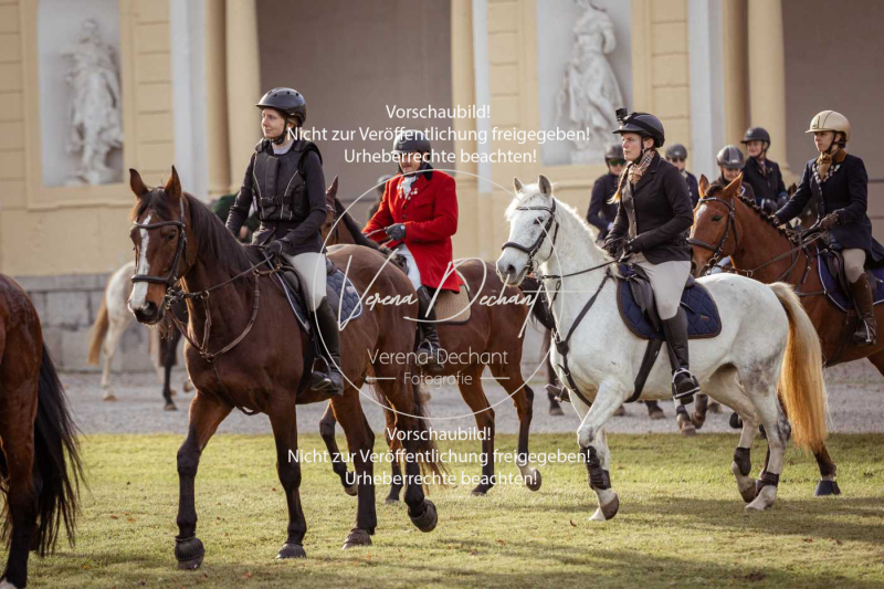 Schleppjagd_Schleissheim-247