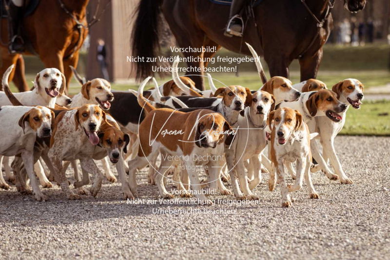 Schleppjagd_Schleissheim-294