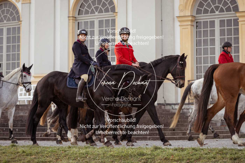 Schleppjagd_Schleissheim-319