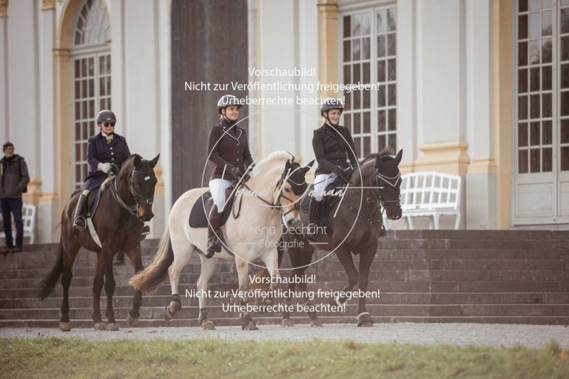 Schleppjagd_Schleissheim-335