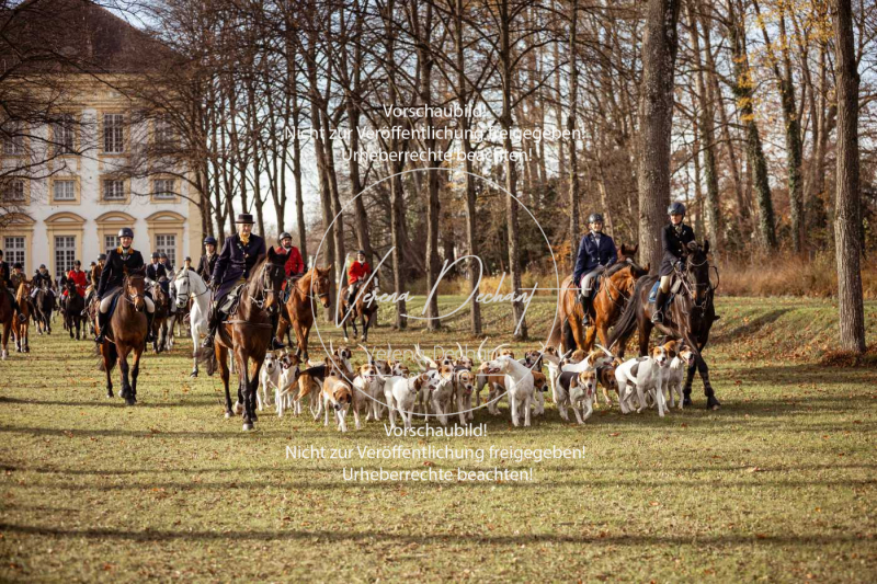 Schleppjagd_Schleissheim-342