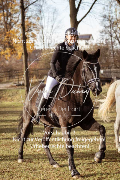 Schleppjagd_Schleissheim-357